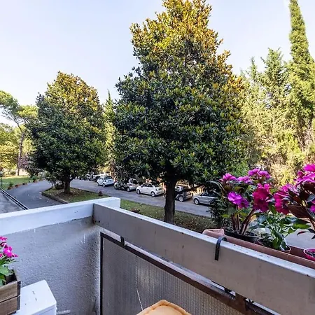 Apartment Plaza Cheery Rome