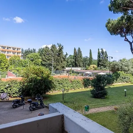Plaza Cheery Apartment
